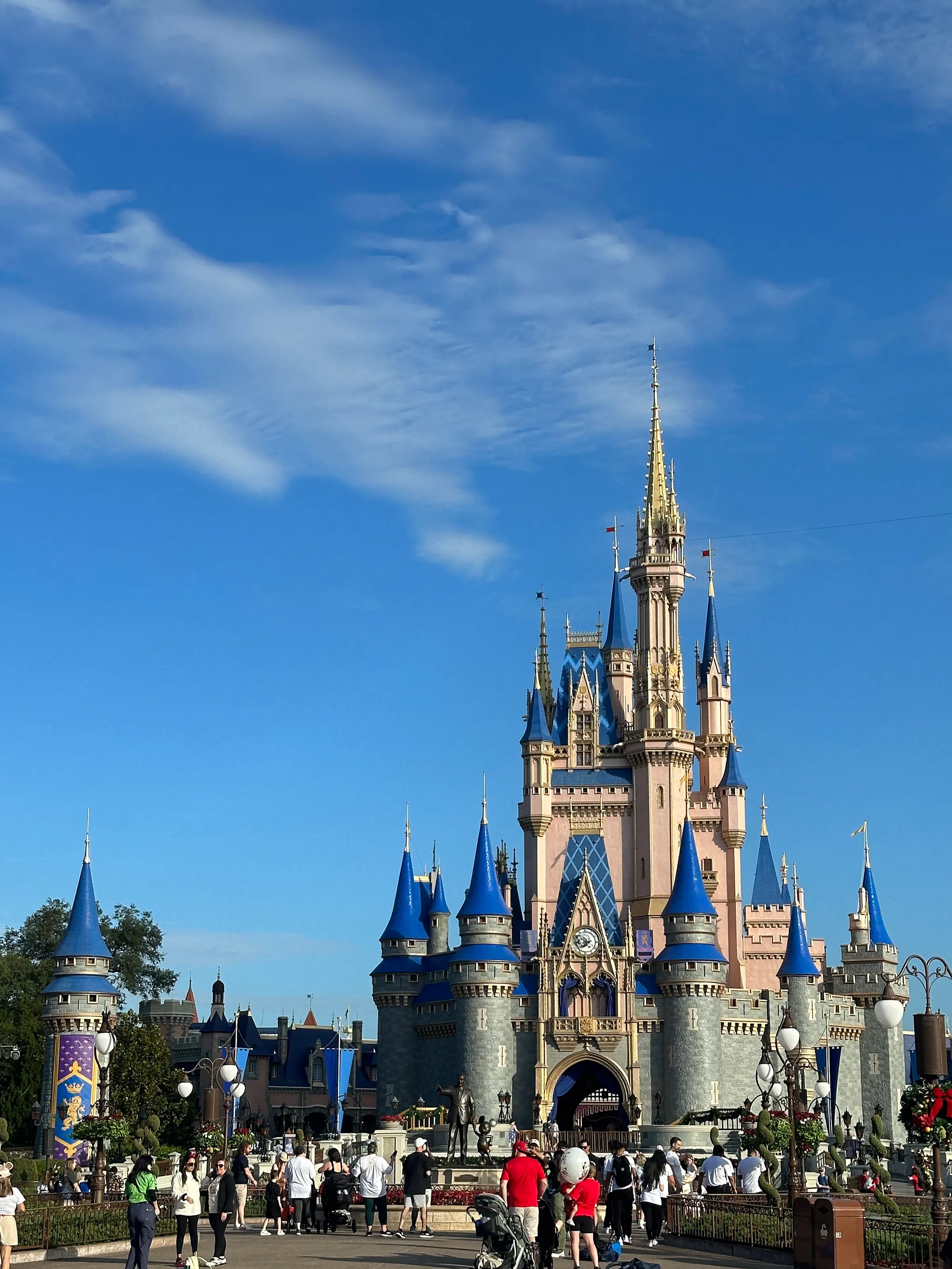 Florida Experience: Orlando, 8 days: wide landscape