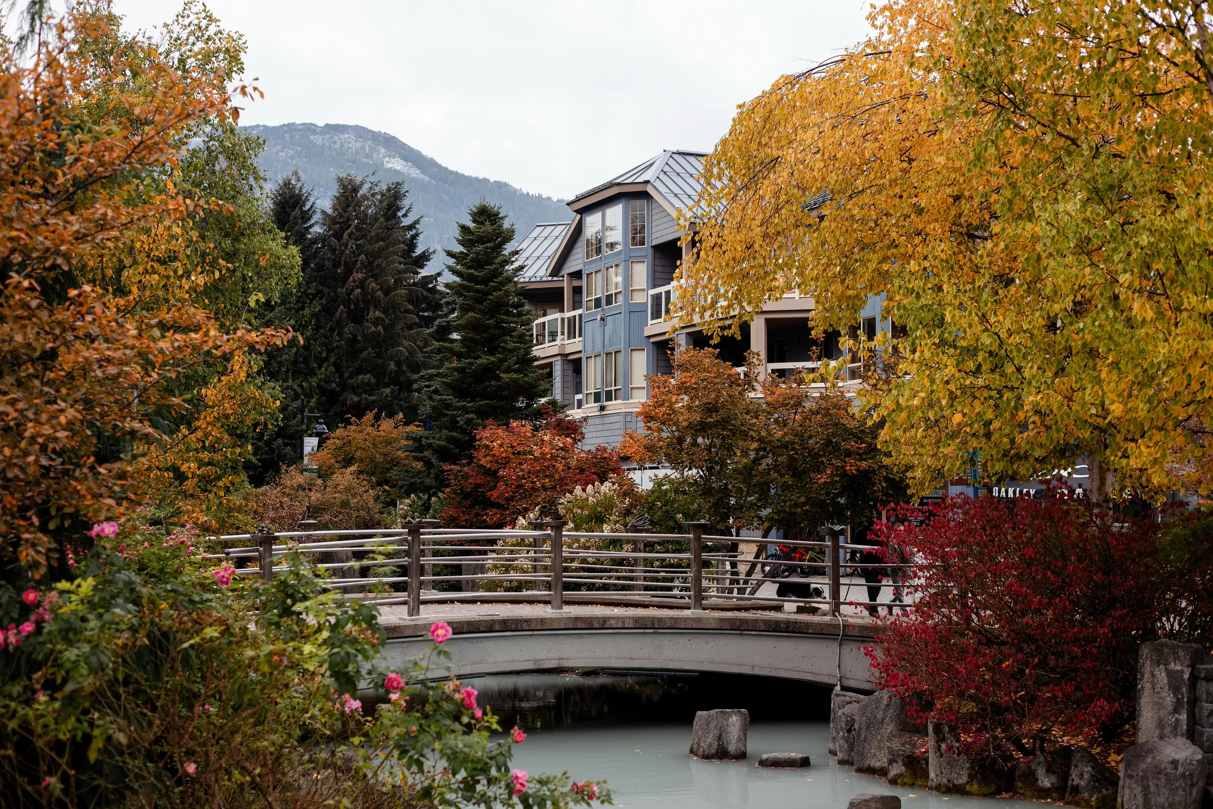 Whistler Village in autumn, a footbridge over a creek below fall-colored trees