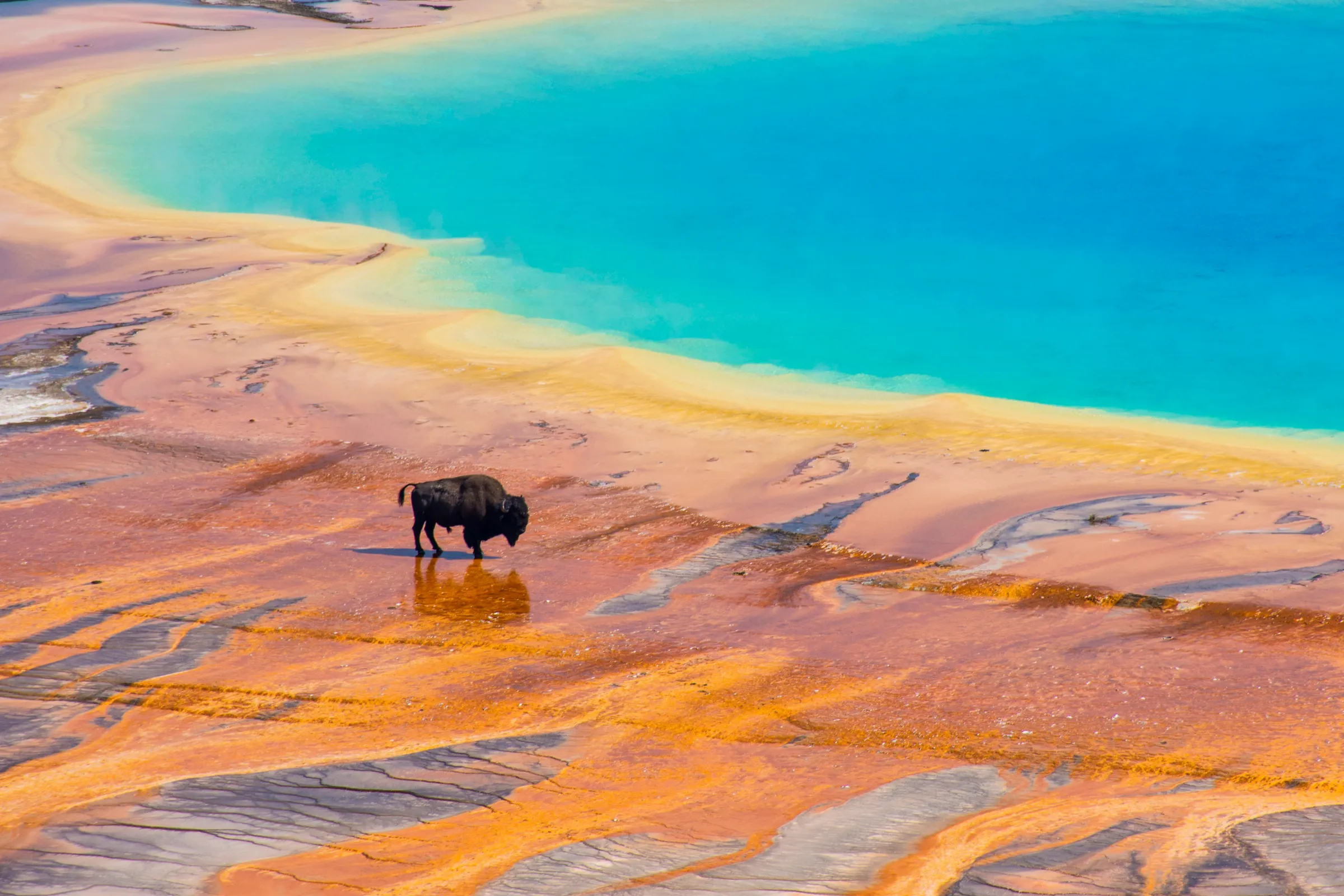 USA National Parks: Yellowstone, Bryce and Zion: wide landscape